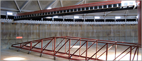 Engineering Custom Projects